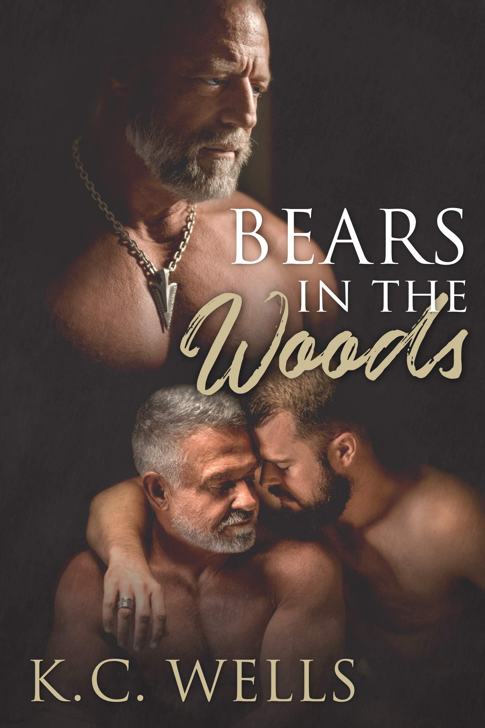 Cover of Bears in the Woods