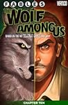 Cover of Fables: The Wolf Among Us #10