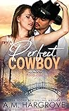 Cover of Perfect Cowboy