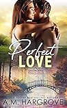 Cover of Perfect Love