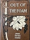 Cover of Out of the Foam
