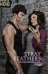 Cover of Stray Feathers: Extras from The Chaos Cycle