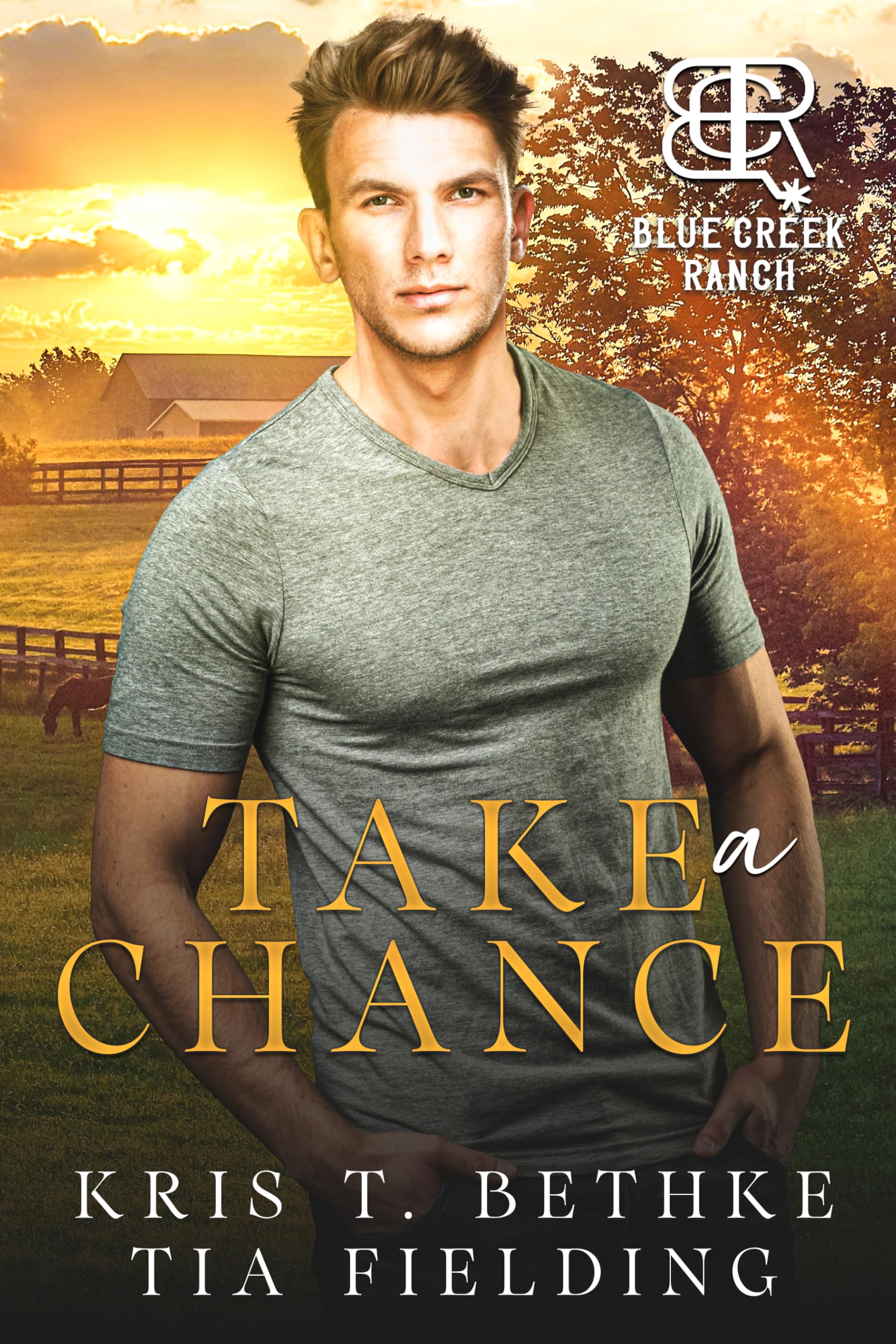 Cover of Take a Chance
