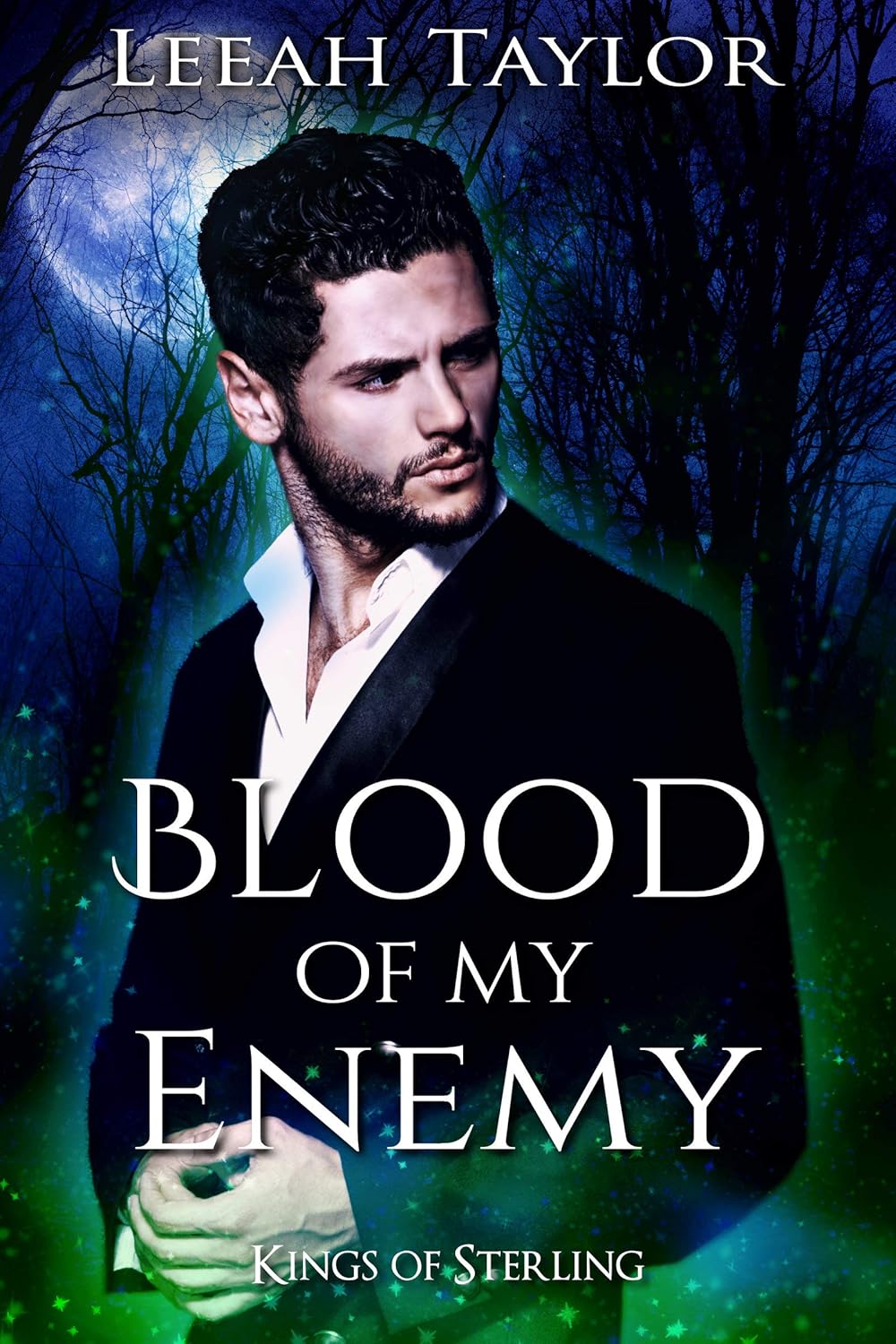 Cover of Blood of my Enemy