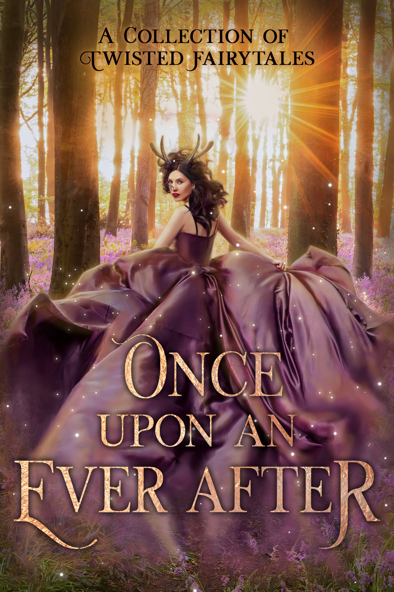 Cover of Once Upon An Ever After