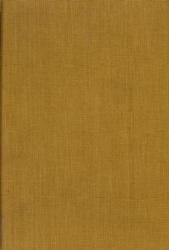 Cover of Cappelens store engelsk-norsk ordbok