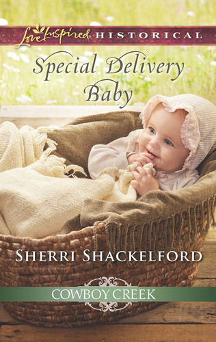 Cover of Special Delivery Baby