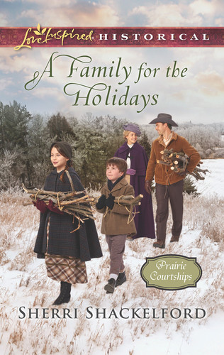 Cover of A family for the holidays