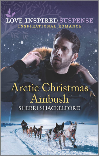 Cover of Arctic Christmas ambush