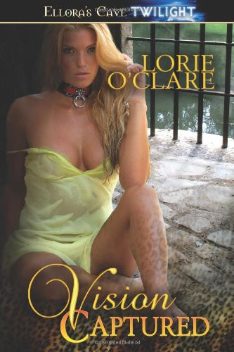 Cover of Vision Captured