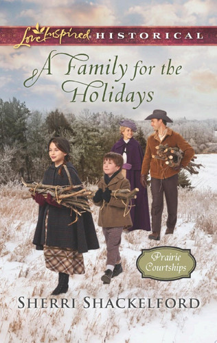 Cover of A Family for the Holidays