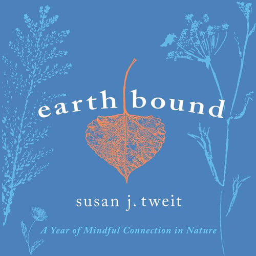 Cover of Earthbound