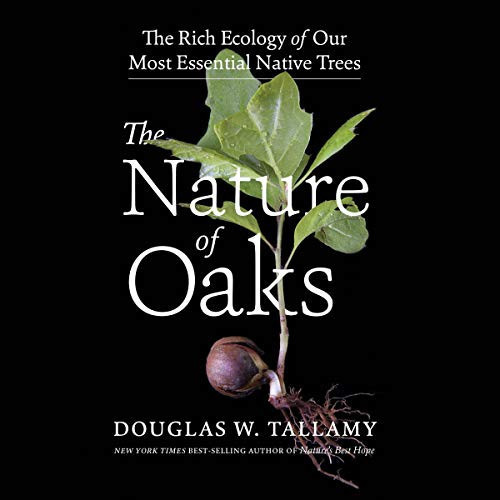 Cover of The Nature of Oaks