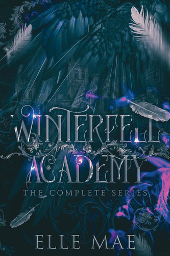 Cover of Winterfell Academy A Dark Bully why Choose