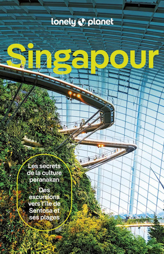 Cover of Singapour