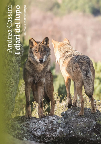 Cover of I diari del lupo